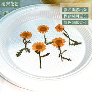 Wholesale embossed material with branch positive pressure chrysanthemum flower specimens handmade DIY drop glue filled decorative flower material bag