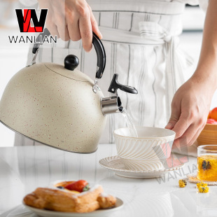 Cross-border beige spray paint whistle kettle coffee brewing milk European and American singing kettle 3L ringing kettle flat bottom