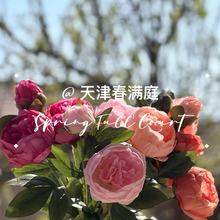 ��������ĵ���͏d��ؼٻ��b� ���^��ĵ����ș���l�Ї��L