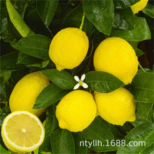 ���ԙ��ʘ����ԙ�������ˮ���ʘ���������Ϸ������ļ��������ʘ�