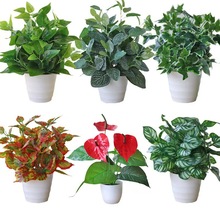 ����G�}�~���Լٻ���������Gֲ�҃�������辰���໨���b���