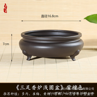 ��Ʒ������t�辰�����������������Ϙ���������֬����ɰ����