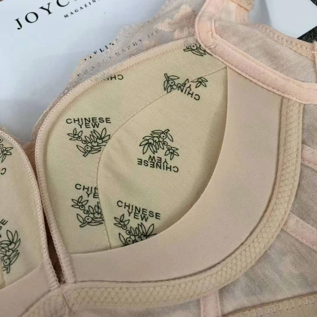 Nuevo sujetador de alta calidad de moda de encaje jacquard transpirable y cómodo ajuste lateral de pecho de botón múltiple ropa interior mujer