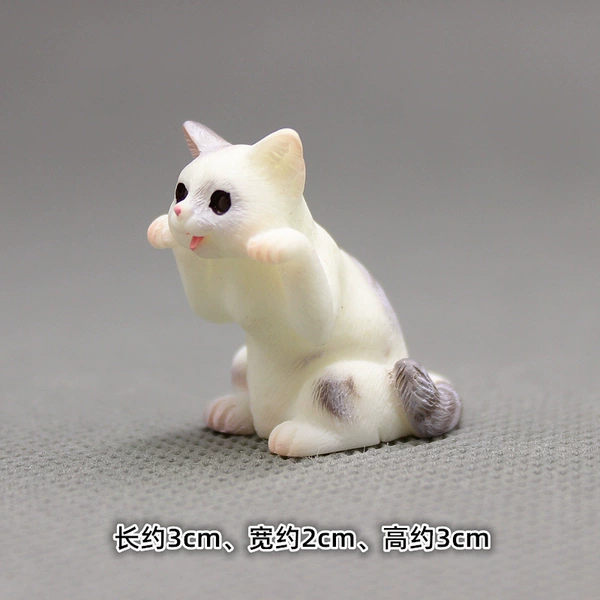 [趴着花猫]
