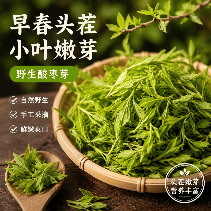 Wild Taishan jujube leaf sprout tea for sleep, fried jujube seeds and new jujube sprout tea