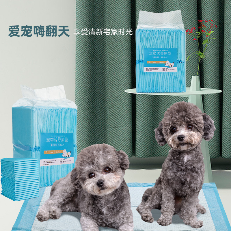 Pañal de perro engrosada almohadilla absorbente pañal Teddy CAT suministros pañales para mascotas al por mayor