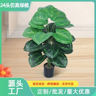 24^Gֲ߼д~kҼٲݾG~ֲ҃쾰b