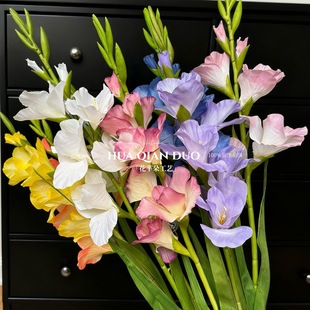 ���W���m���滨ܛ�z�U�Ӹ߼���ˇ�廨�Ҿ��b��쾰�ĔzDIY������
