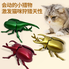 发条甲虫玩具昆虫甲壳虫仿真动物独角仙电镀机械模型男孩儿童女孩