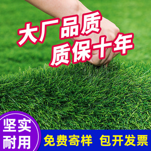 �G���˹����ϲݹ��̇����ٲ�Ƥ�����ƺ�����ƺ�׃��@���������