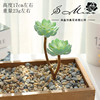 001 Velvet green series simulation multi -meat head creative DIY accessories Plant wall simulation flower cross -border Dai Shangmiao