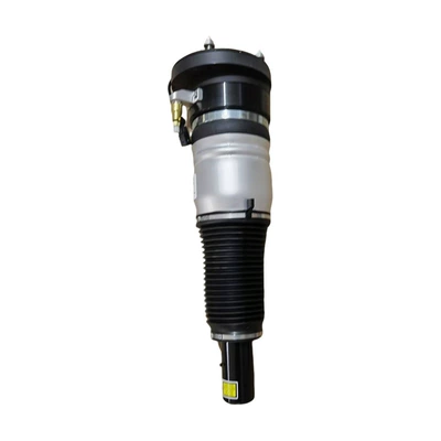Strut Shock Absorber Assembly, damping system
