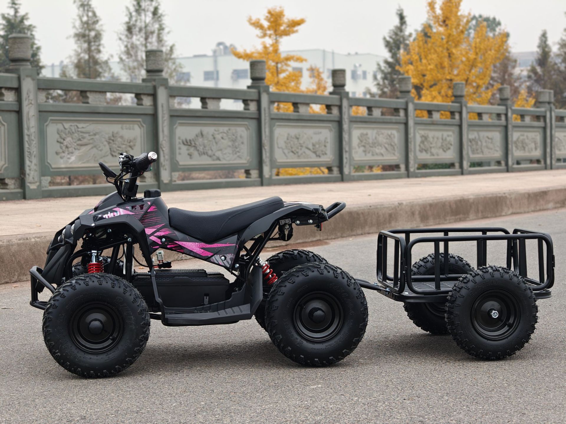 Small Overlord ATV Beach Motorcycle All-Terrain Vehicle Electric Scooter