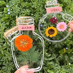 手工DIY透明高清贴纸玻璃瓶形状创意学生花草树收集植物标本书签