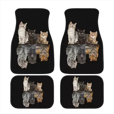 Avtomobil döşəmə paspasları – a generation of hair - car-floor-mats-48-3545-4868cm-two-pairs-of-a-total-of-four-pieces
