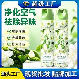 清洗/养护剂;空调清洁剂;鞋袜除臭剂