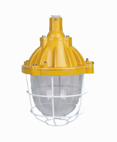 BYC6170厂用防爆灯