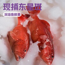 ��|�ǰ߱��r�������r��������t�߼t�ǰ�ʯ���~�Ƙǲ͏dֱ��