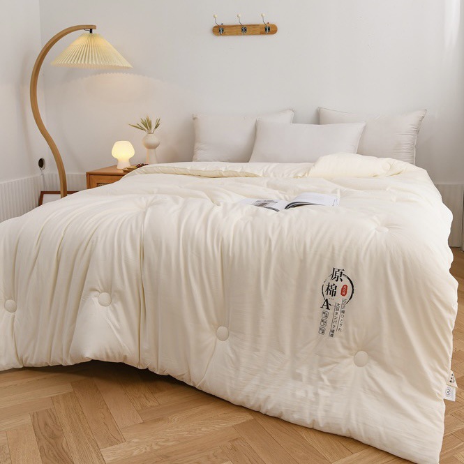 Class a Raw Cotton Soybean Quilt Thickeneded Spring & Fall Quilt Soy Fiber Quilt Core Winter Quilt Quilt Gift Quilt Four Seasons Dormitory