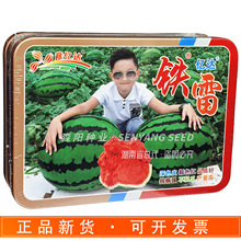 |_FϷNӿ߮aѹϴ͵sNȫɷNֲ