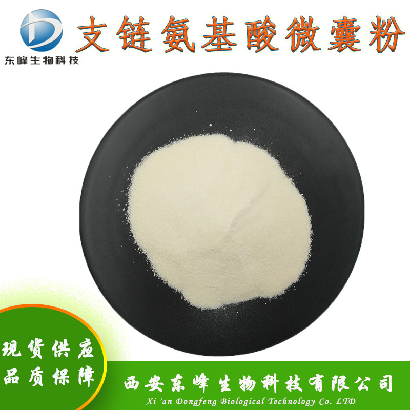 2:1:1 Branched Chain Amino Acid Microcapsule Powder Food Raw Material Available in Stock Bcaa Water-Soluble Branched Chain Amino Acid Powder