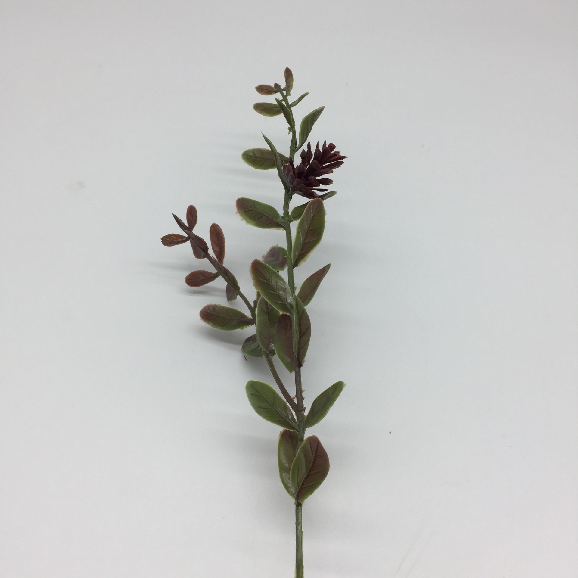 다크 브라운 + 녹색