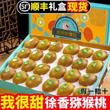 �����������J�������r�ЋDˮ������������G���殐����Ş��