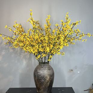 �����޶�����ӭ�����L֦ �͏d�ٻ��b[���F؛�ٰl