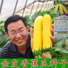 �M���㽶�����J�N��ˮ�����������Sɫ�����J�N�Ѵ����ļ��߲˷N��