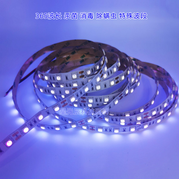 12VUV purple light 5050 lamp with 365nm395nm banknote detection…