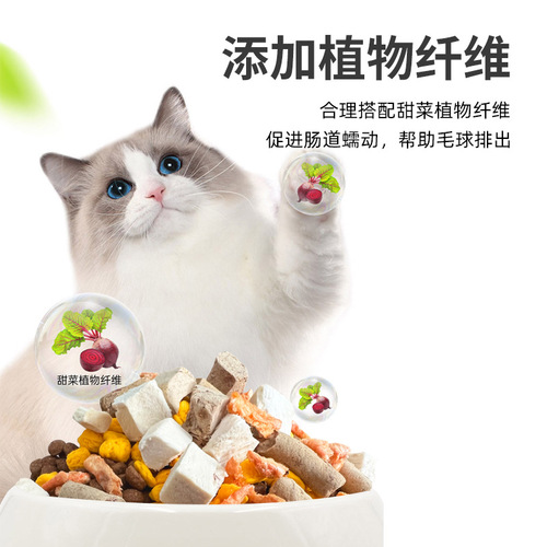 Wholesale cat food manufacturer, 20 lbs / 10 kg, for kittens and adult cats, grain-free complete formula, suitable for cattery breeding, main cat food for cat owners