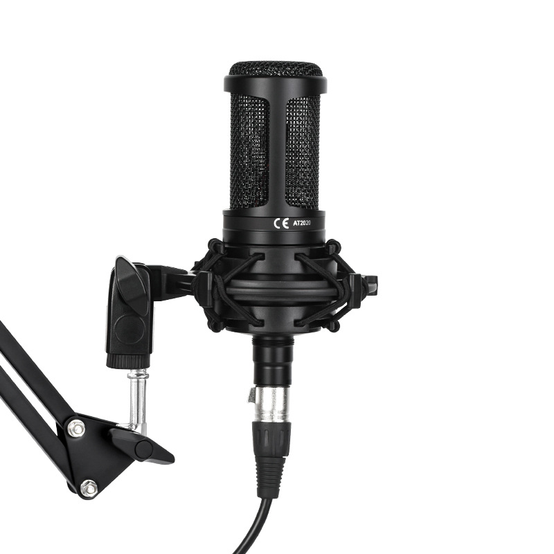 At2020 Condenser Microphone Computer Desktop Microphone Live Recording Dedicated 48V Microphone Karaoke Audiobook Recording