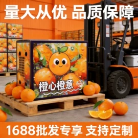 纸盒;纸箱;年货礼品包装