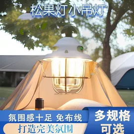 太阳能灯;手电筒;野营/露营灯