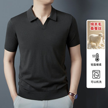 2026���ļ�����t����ʿ���I���zpolo�����e������ɣ�Q�z�������