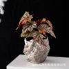 Creative ceramics, flowerpot, decorations, jewelry, plant lamp