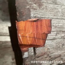 尼泊尔紫檀原木板材 尼泊尔紫檀 尼泊尔小叶紫檀 科檀原木板材