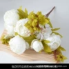13-headed core peony white
