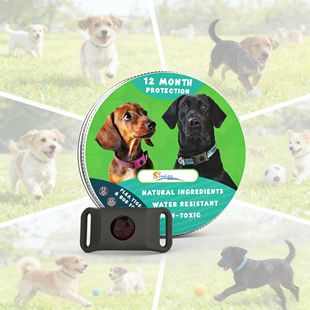 ������x�Ȧ���⹷��؈������������������xȥʭ���{���Ȧ�羳