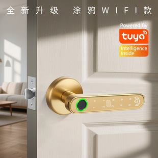Golden Spherical Smart Lock, Universal Smart Door Lock for Office and Home Use, Graffiti Wifi Smart Fingerprint Lock