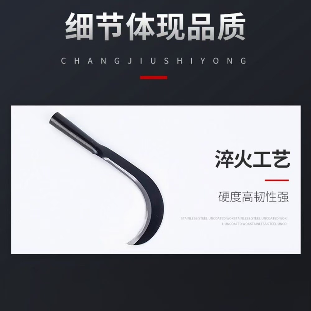 微信图片_20260330120810_279_28.jpg