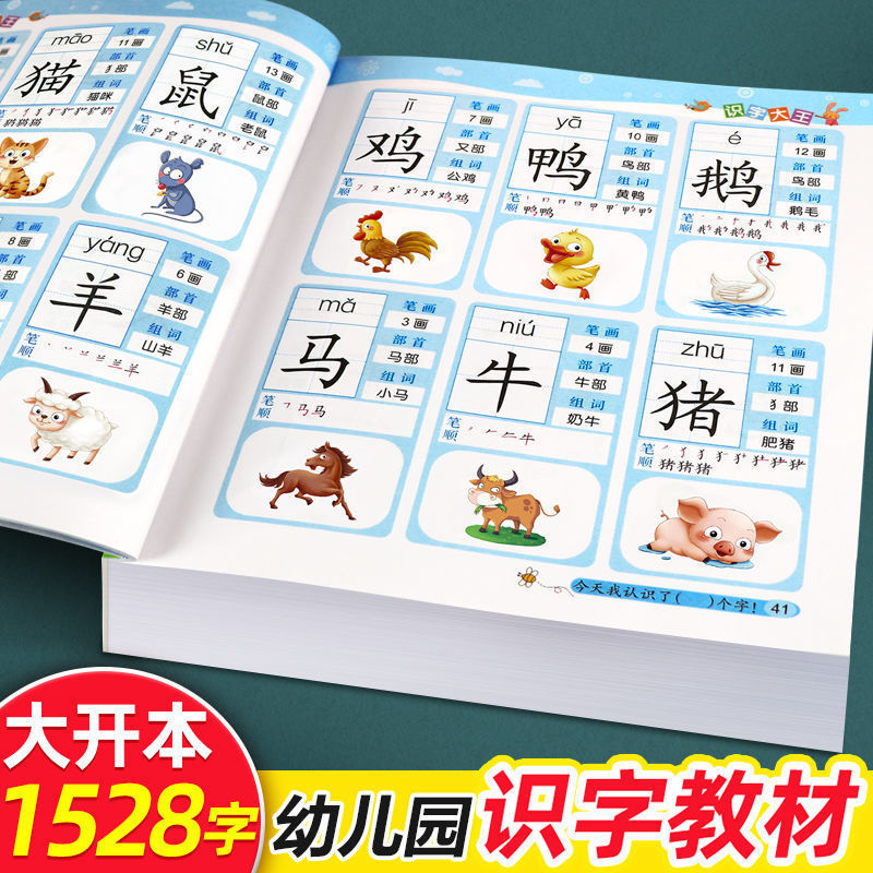 Children's Preschool Picture Literacy Book 3-6 Years Old Kindergarten 1528 Word Phonetic Version Kindergarten Transition to Primary School Textbook