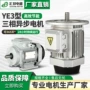 ys异步功率三相电机