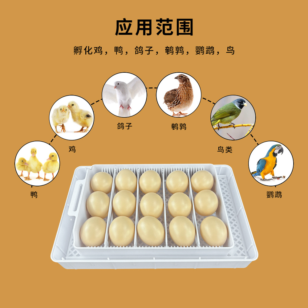Nuevo Producto 15 incubadora automática pollo pato ganso rutina pollo automático alimentación agua incubadora fábrica al por mayor