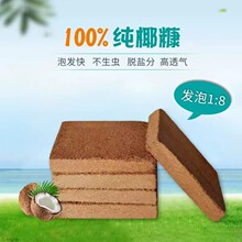 进口低盐高泡发大颗粒宠物椰糠饼脱盐育苗提高存活率育苗必选