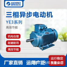 湖南湘潭电机厂家直销YE3系列 11/15/18kw三相异步电动机高效节能