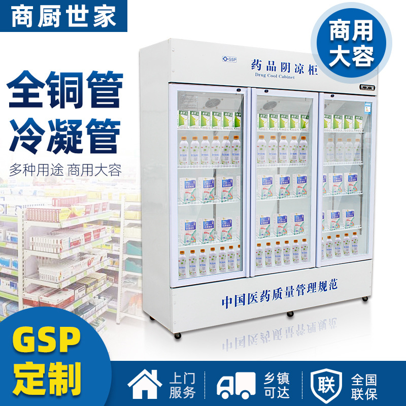 双门药品阴凉柜 冷藏药品药剂药物双门立式陈列柜 冷藏保鲜冰柜