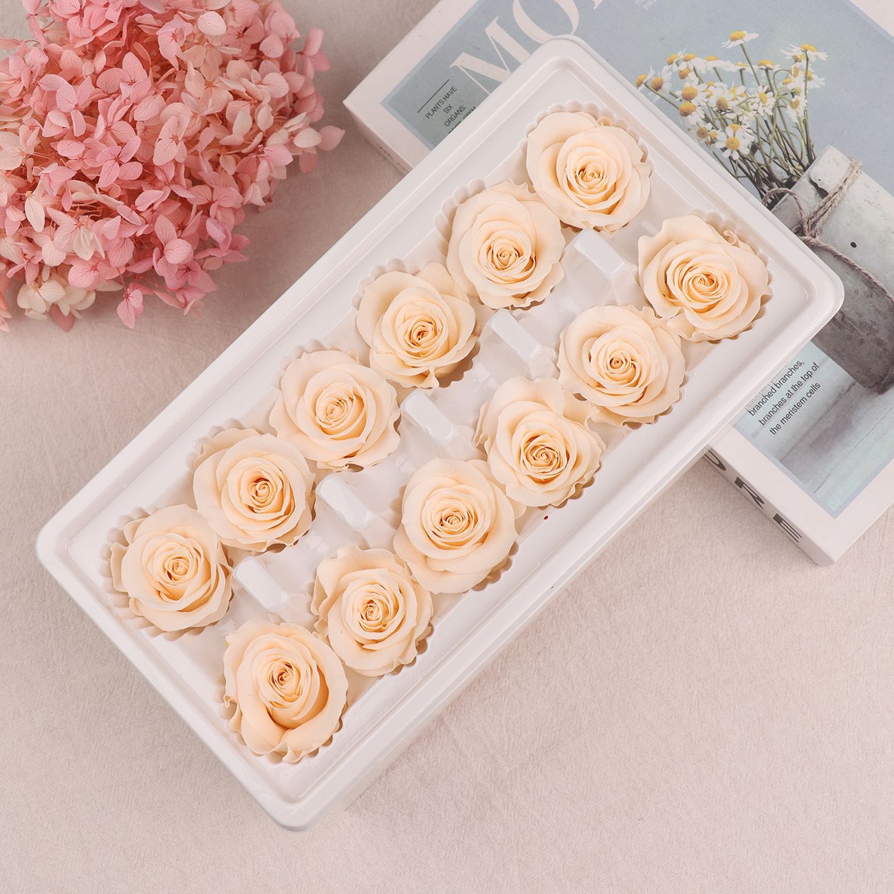 Cabezas de Rosa Eternas A+, 3-4 cm, 12 Piezas, Materiales para Manualidades Florales, Caja de Regalo, Fabricante, Venta al por Mayor