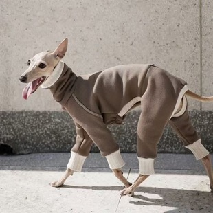 ����ӽq��ů���I���_��΢�������С�`���ݱ����·����_��ů���