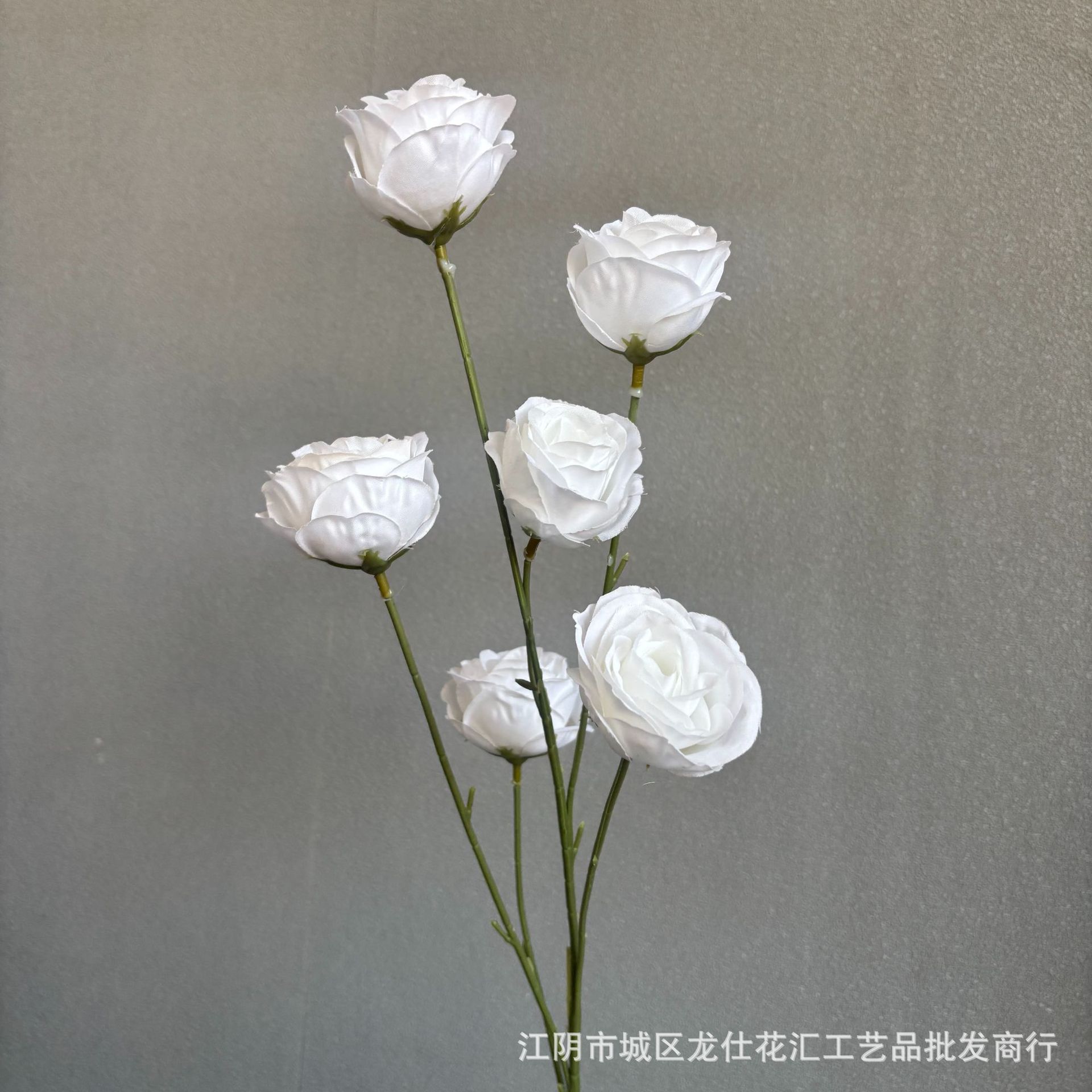 6송이의 앙증맞은 모란꽃
